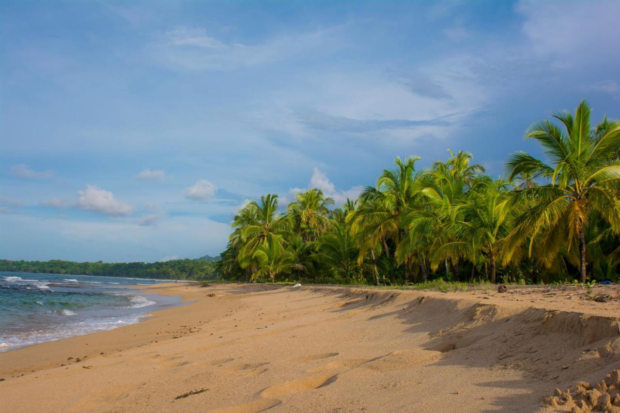 Hotel Sunshine Caribe Puerto Viejo de Talamanca Екстер'єр фото