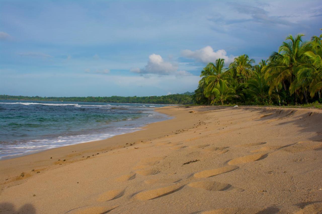 Hotel Sunshine Caribe Puerto Viejo de Talamanca Екстер'єр фото
